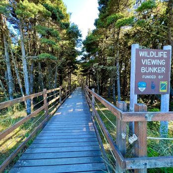 Fort Stevens State Park - They have a bird blind!!! - Parks Near Me - Hammond, Oregon