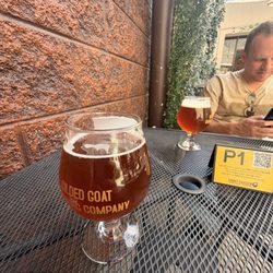 Gilded Goat Brewing Company