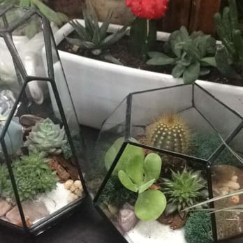 Joy's Flowers Pot - Terrariums - Florists Near Me - New York, New York