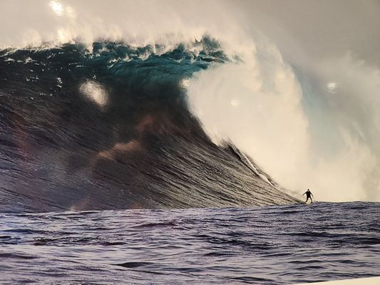 California Surf Museum by null
