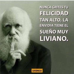 Verea Jorge Luis MD