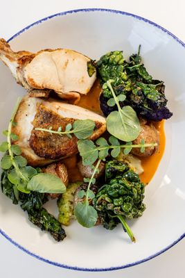 The Hake by null