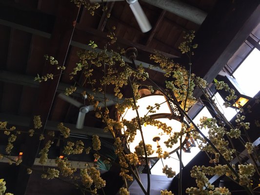 Cafe Bibliotic Hello! by null