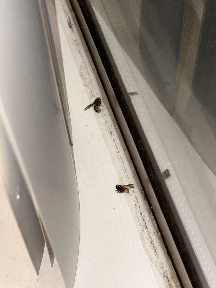 PRENTISS POINTE APARTMENTS Updated April 2024 28 Photos 39111