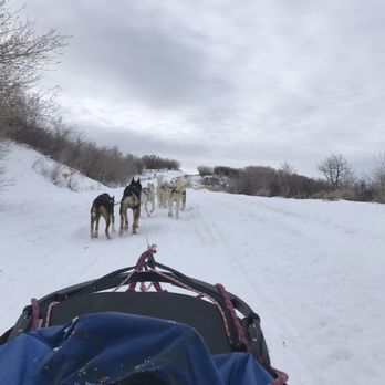 Bear Ridge Adventures - Sledding Near Me - Coalville, Utah Bear Ridge Adventures - Sledding Near Me - Coalville, Utah