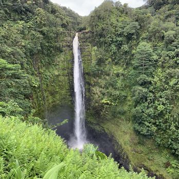 Akaka Falls State Park - Akaka falls 442 feet of pounding water - Parks Near Me - Honomu, Hawaii
