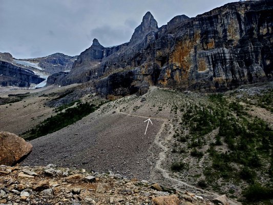 Kootenay National Park by null
