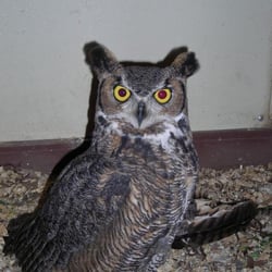 Louis Rubidoux Nature Center