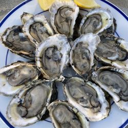 Big Rock Oysters