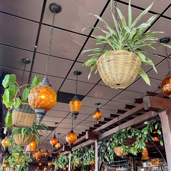 McMenamins East Vancouver - hanging baskets of plants - Bars Near Me - Vancouver, Washington McMenamins East Vancouver - hanging baskets of plants - Bars Near Me - Vancouver, Washington