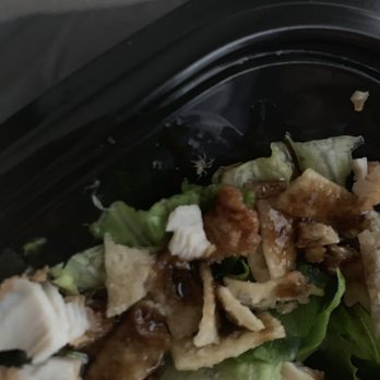 Zaxbys - Spiders in my salad - Fast Food Near Me - Lithonia, Georgia