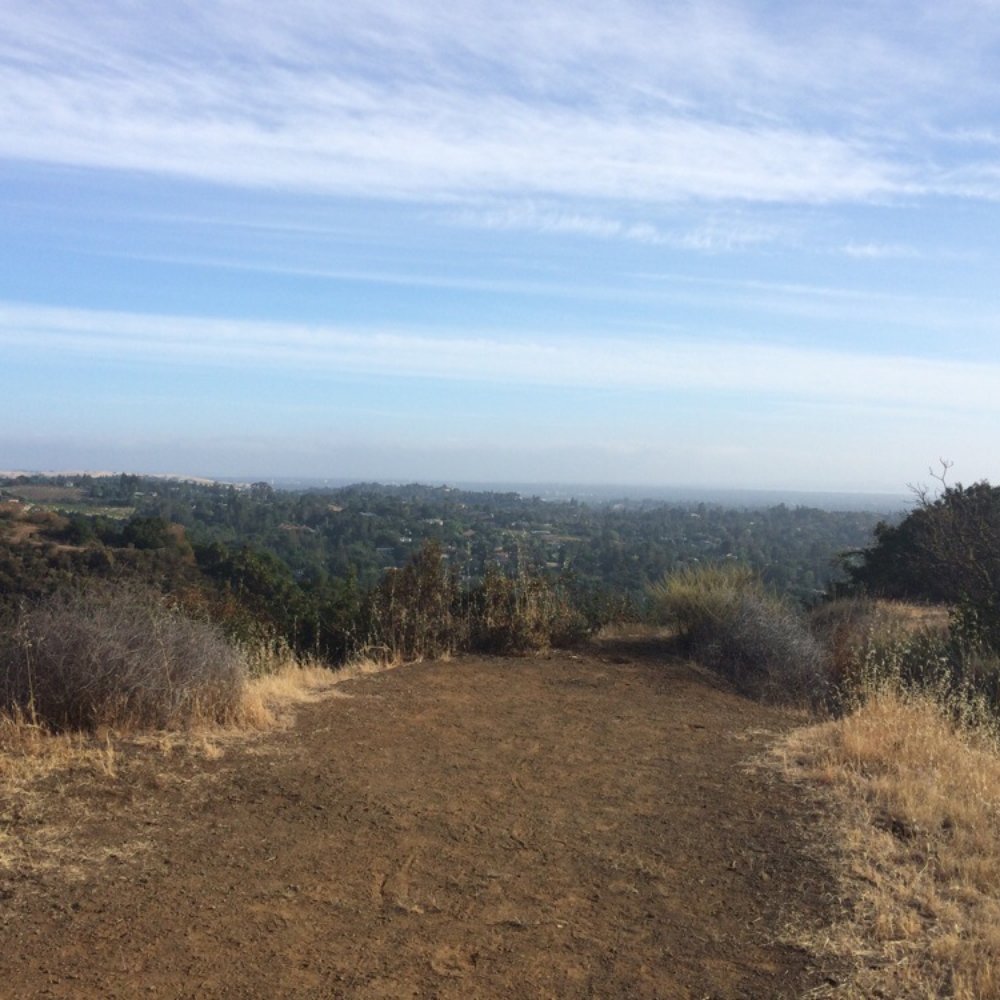 Black Mountain Trail - It's vista pt - Hiking Near Me - Los Altos, California Black Mountain Trail - It's vista pt - Hiking Near Me - Los Altos, California