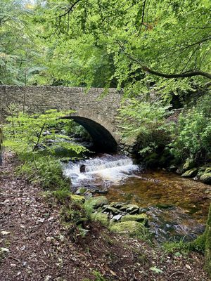 Killarney National Park by null