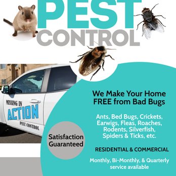 Missing In Action Pest Control - Pest Control Near Me Missing In Action Pest Control - Pest Control Near Me