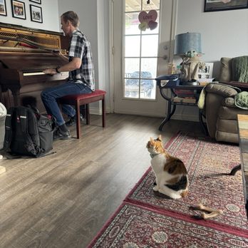 Ardent Piano Service - Dan being supervised by my cat, BB - Piano Services Near Me Ardent Piano Service - Dan being supervised by my cat, BB - Piano Services Near Me