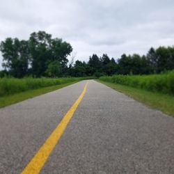 Brookfield Woods