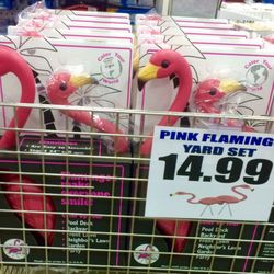 Goodwill Superstore - Who doesn't need some flamingoes?-2017