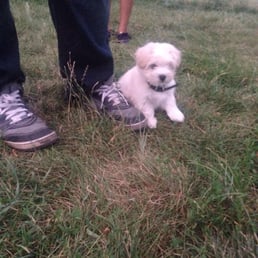 She was two months so cute ! She was two months so cute !