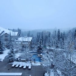 Grand Timber Lodge