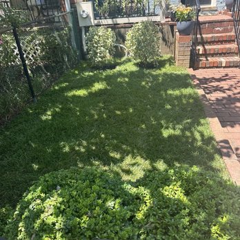 Sterling Tree Care & Gardening - Tree Services Near Me Sterling Tree Care & Gardening - Tree Services Near Me