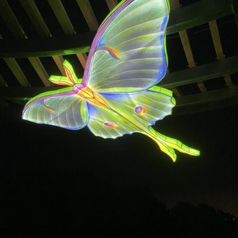 Zoo Lights - Festivals Near Me - Oakland, California
