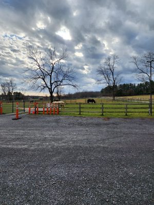 Waredaca Brewing Company by null