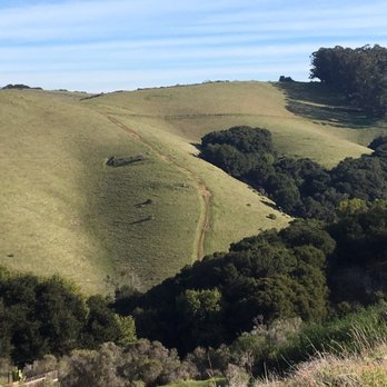 Five Canyons Open Space - Lots of green and rolling hills in winter - Parks Near Me - Hayward, California
