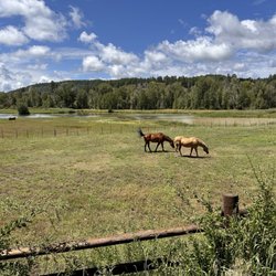Sunset Ranch Cabins - August 10, 2024.