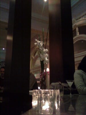 Hotel Shattuck Plaza by null