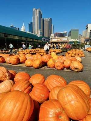 Dallas Farmers Market by null