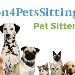 Passion 4 Pets Sitting