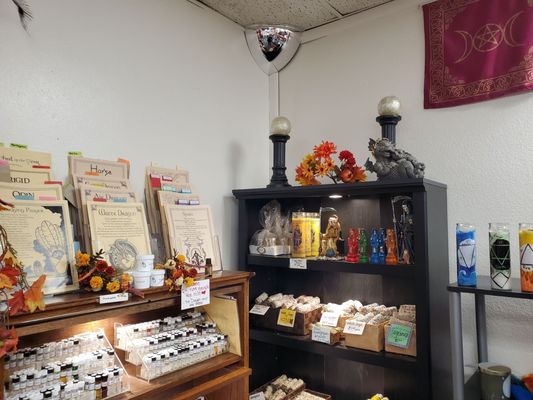 The Dragon and The Rose by null