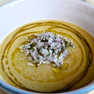 Colapasta Restaurant by null