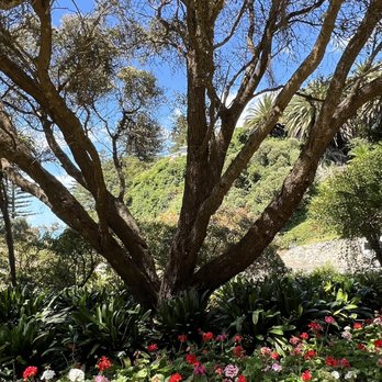 Centennial Gardens - Botanical Gardens Near Me - Napier, HKB