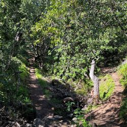Laurelwood Park/Sugarloaf