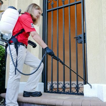 Turner Pest Control - Pest Control Near Me - Orlando, Florida Turner Pest Control - Pest Control Near Me - Orlando, Florida