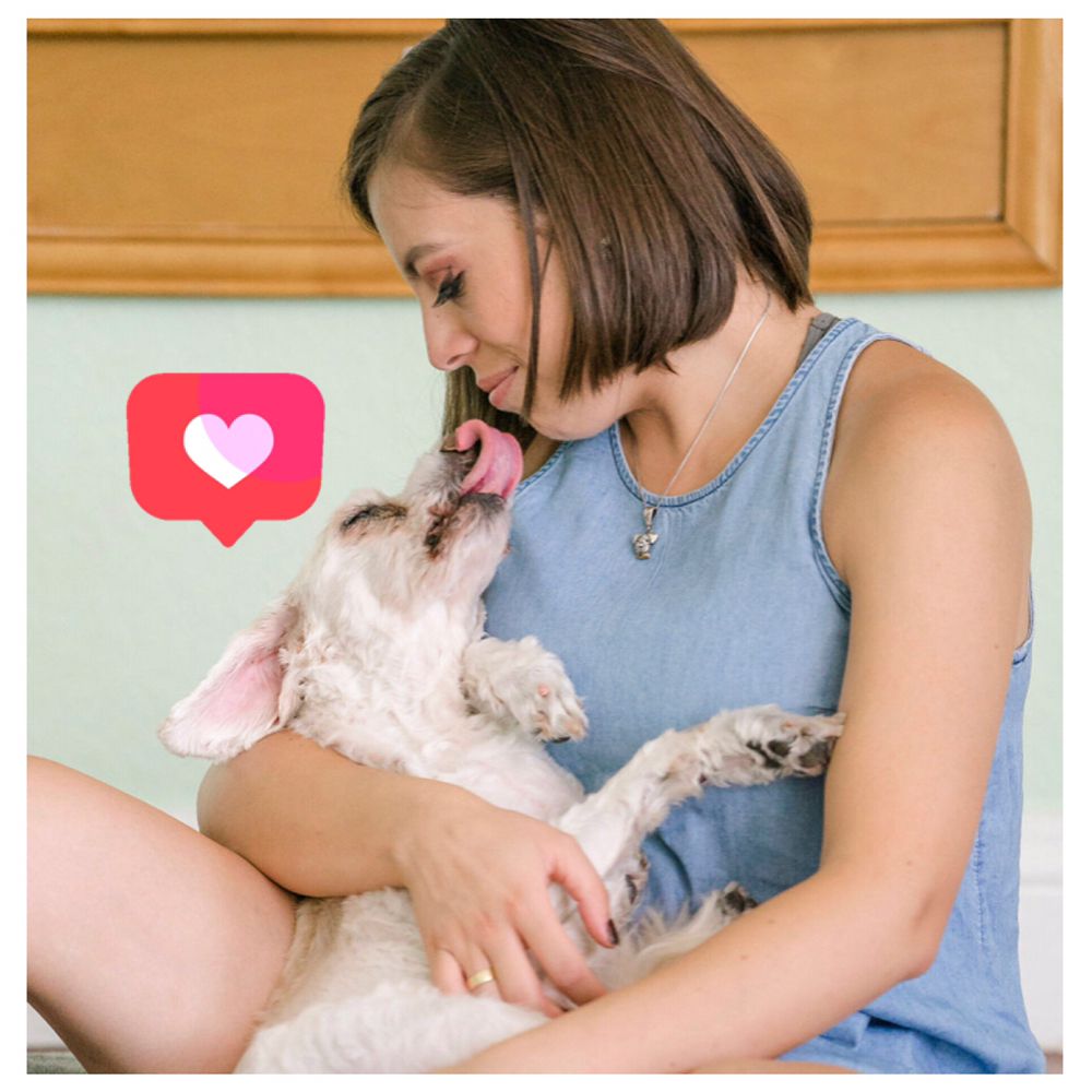 BUBBLES N BOWS 80 Photos & 19 Reviews 9766 Gardens E Dr, Palm Beach