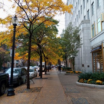 Thinking Cup - Autumn Newbury Street - Coffee & Tea Near Me - Boston, Massachusetts Thinking Cup - Autumn Newbury Street - Coffee & Tea Near Me - Boston, Massachusetts
