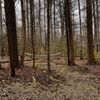 Garden of Eden Cabins gift card