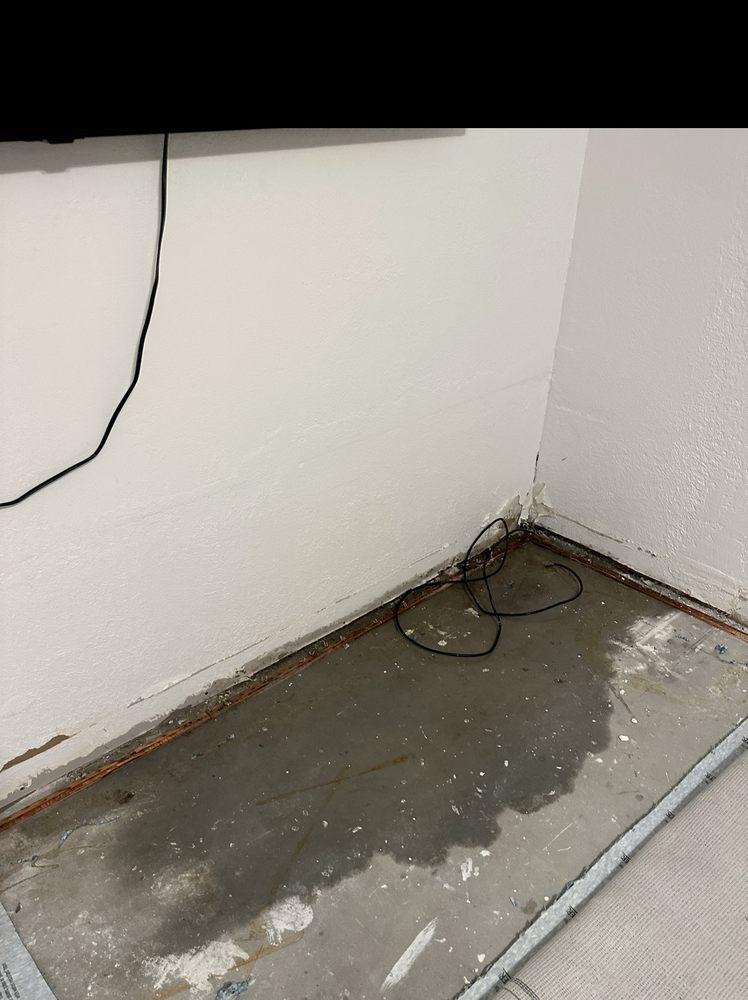 Bingham Restoration - mold inspector in Raymore, MO