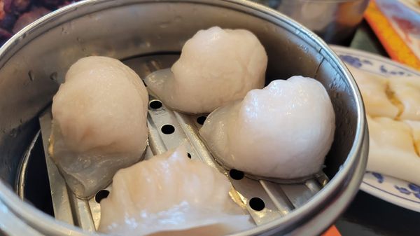 Silver Fountain by null