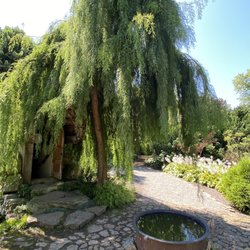 Paxson Hill Farms