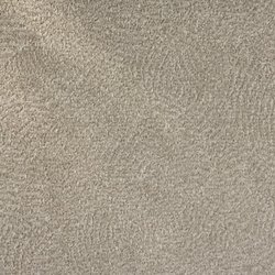 Lomax Carpet & Tile Mart - That's the carpet we picked