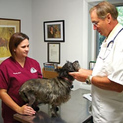Falls Road Veterinary Hospital, A Thrive Pet Healthcare Partner
