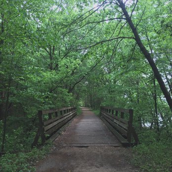 Afton State Park - Winding forest trail by the river - Parks Near Me - Hastings, Minnesota