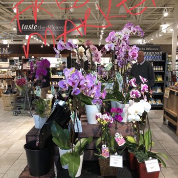 George's Flowers - FRESH MARKER ORCHIDS for $19-29 - Nurseries & Gardening Near Me - Roanoke, Virginia