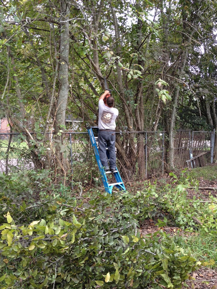 DEMOPOLIS CATV Updated June 2024 105 S Cedar Ave, Demopolis