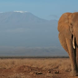 The Ultimate Travel Company
