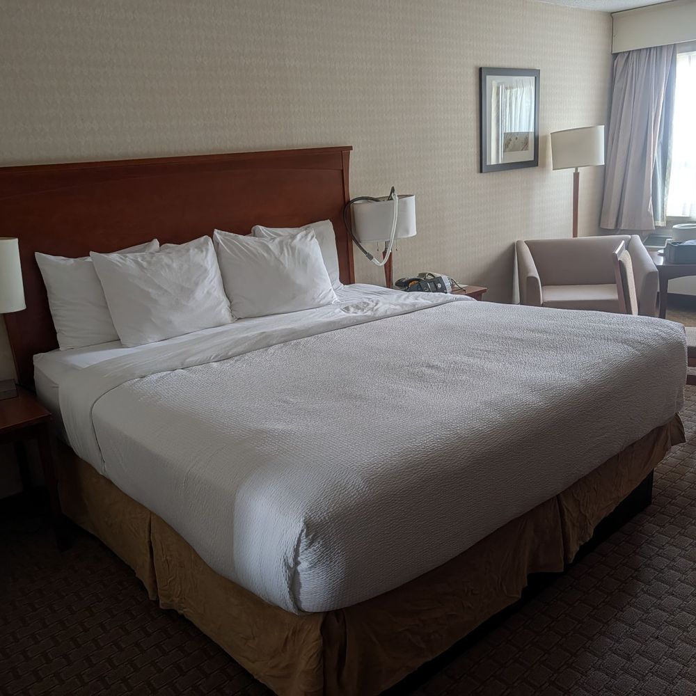 Quality Inn - The room was super clean and comfortable - Hotels Near Me - Kitchener, Ontario Quality Inn - The room was super clean and comfortable - Hotels Near Me - Kitchener, Ontario