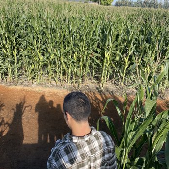 The Maize at The Pumpkin Patch - Coming down the steps of one of the lookouts in the middle - Pumpkin Patches Near Me - Portland, Oregon